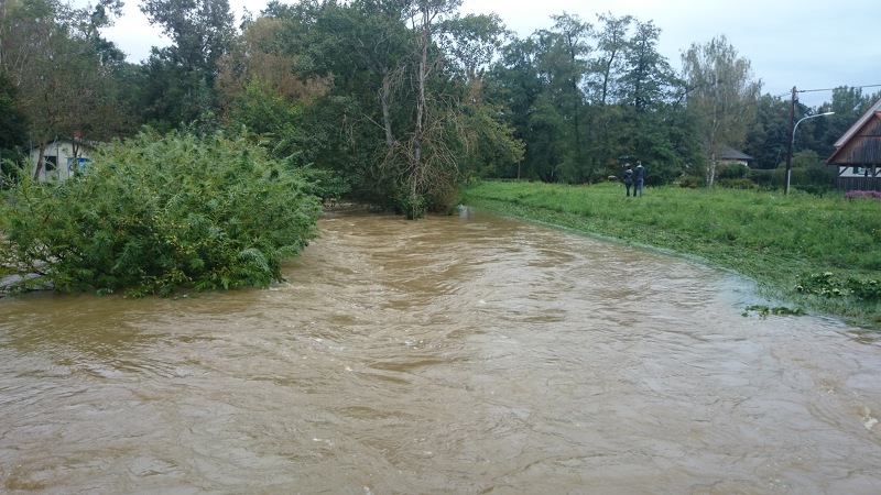 Hochwasserdamm Leibnitz