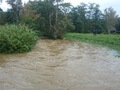 Hochwasserdamm Leibnitz